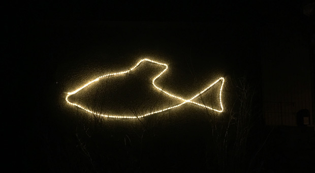 Foto på ljusfisken i stadsparken i Lysekil.