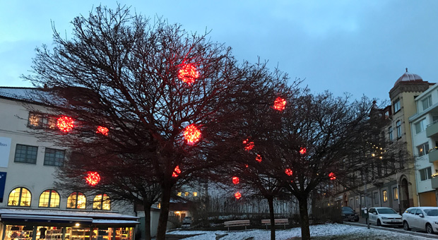 Foto på röda julkulor i parken Vadet i Lysekil.