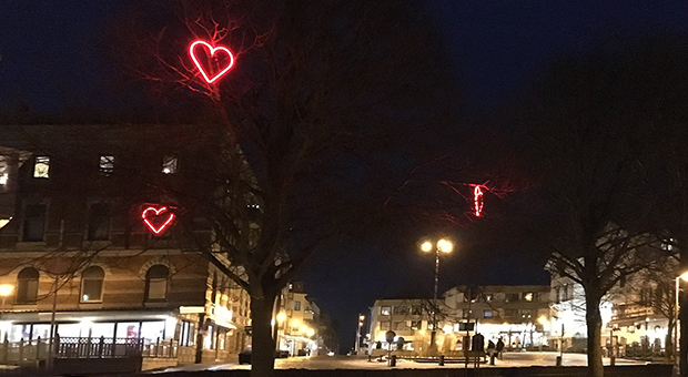 Foto av lysande hjärtan upphängda i ett träd i stadsparken i Lysekil. 