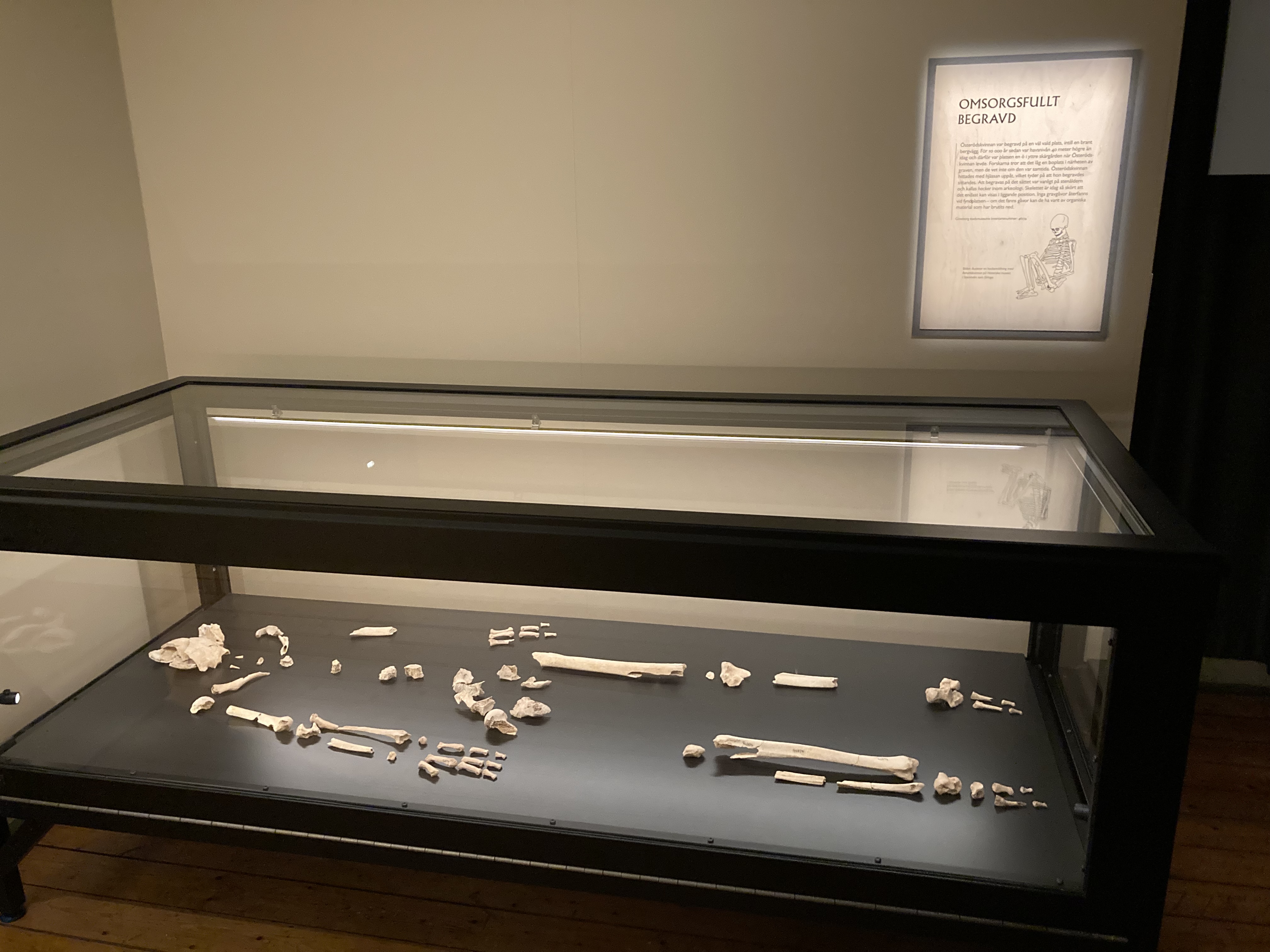 Österödskvinnans skelett